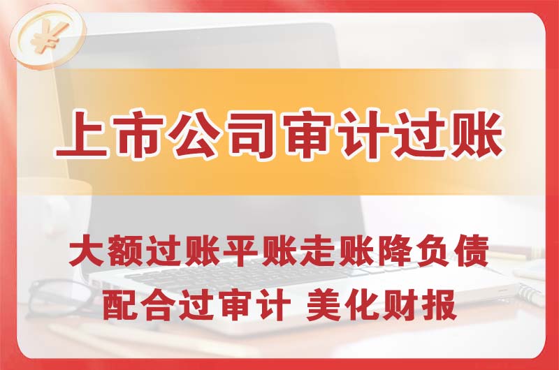 崇左上市公司审计过账